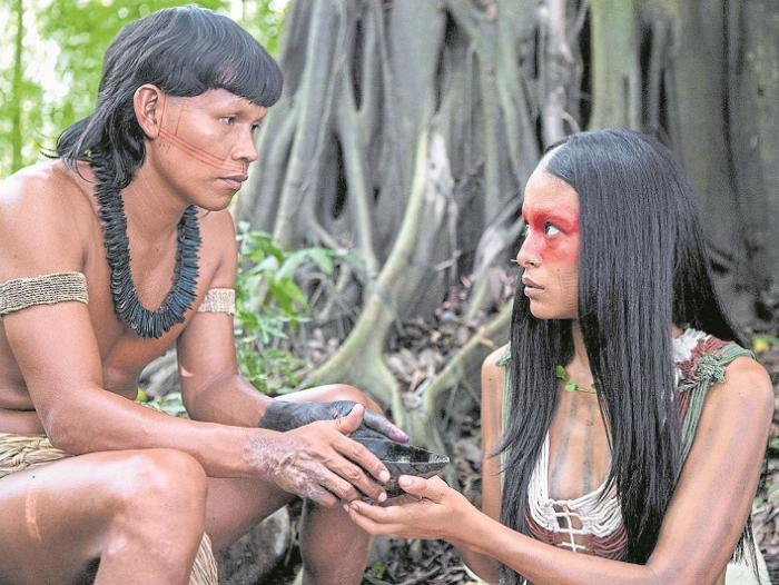 Ayahuasca. Le conoscenze indigene e la medicina basata sull’evidenza.