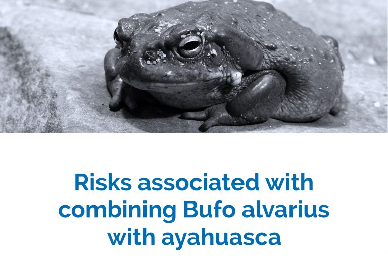 Risks bufo ayahuasca