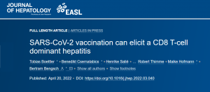 La vaccinazione SARS-CoV-2 può provocare un’epatite dominante a cellule T CD8