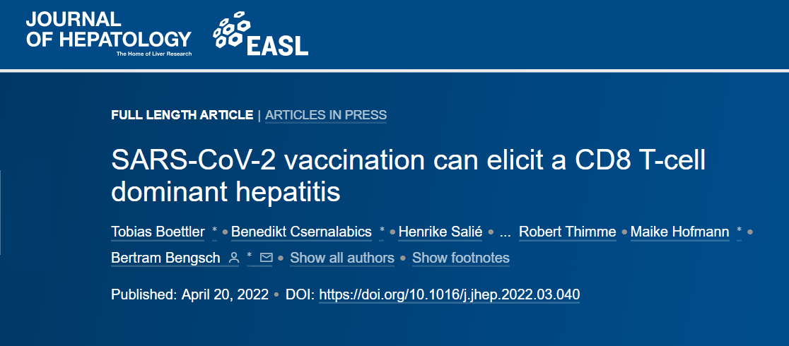 La vaccinazione SARS-CoV-2 può provocare un’epatite dominante a cellule T CD8